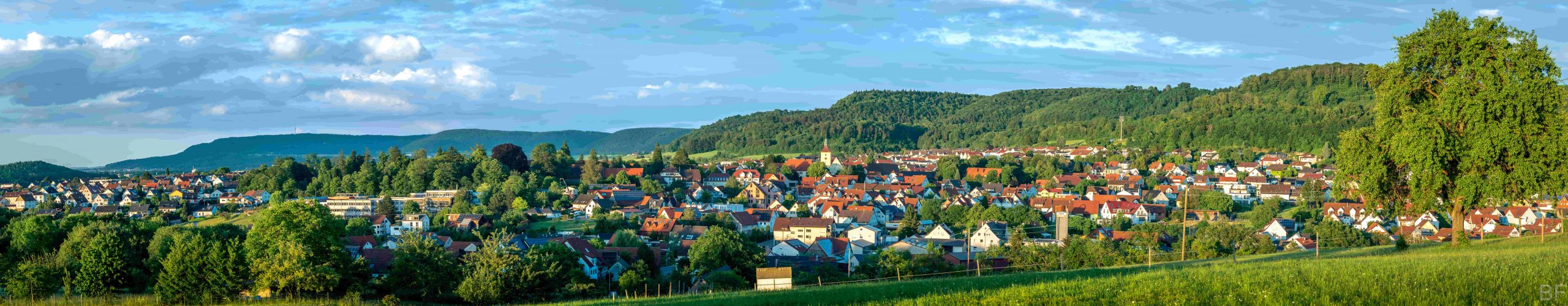 Panoramablick auf Essingen